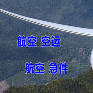 阆中古城机场货运快递-选东方航空和上海航空